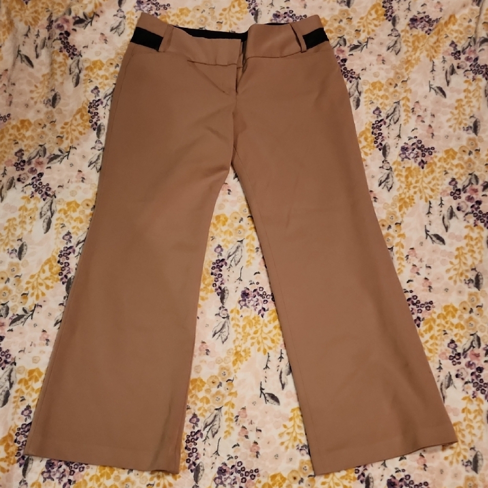 Express Tan Flare Women's Pants